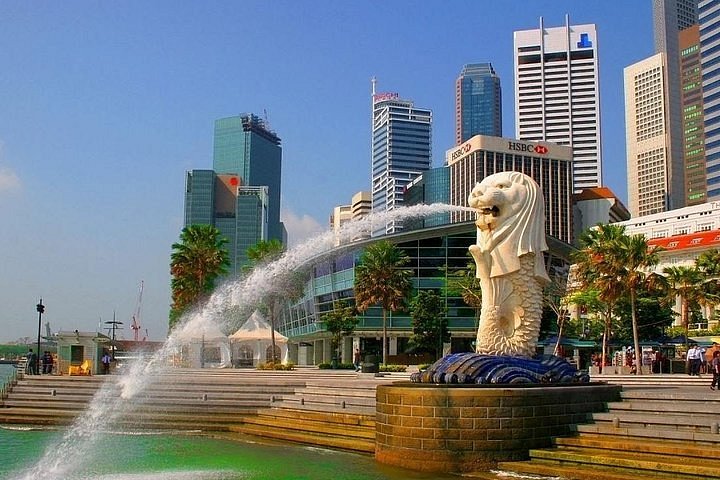 wylc singapore